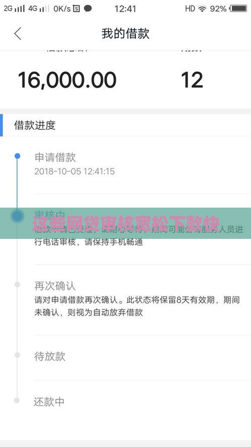 这些网贷审核宽松下款快
