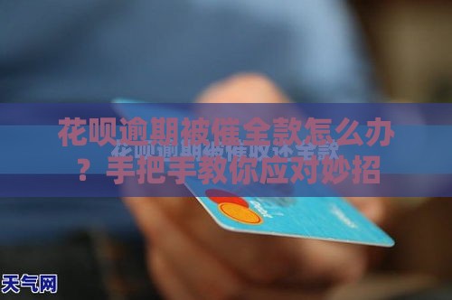 花呗逾期被催全款怎么办？手把手教你应对妙招