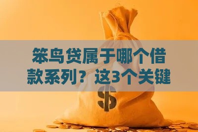 笨鸟贷属于哪个借款系列?这3个关键点帮你彻底搞懂 笨鸟贷属于哪个借款系列?这3个关键点帮你彻底搞懂