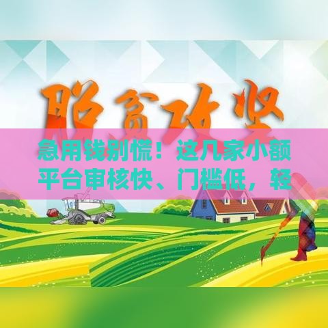 急用钱别慌！这几家小额平台审核快、门槛低，轻松解决资金难题