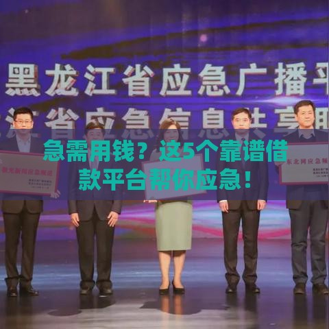 急需用钱？这5个靠谱借款平台帮你应急！