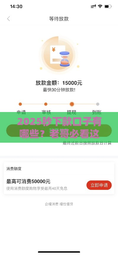 2025秒下款口子有哪些？老哥必看这5家靠谱吗？