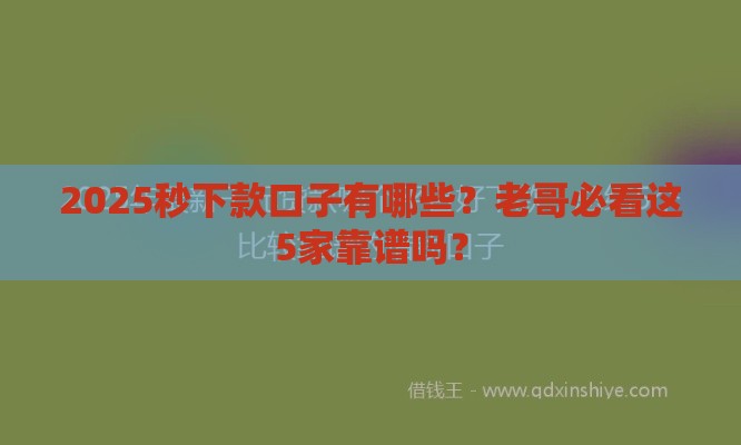 2025秒下款口子有哪些？老哥必看这5家靠谱吗？