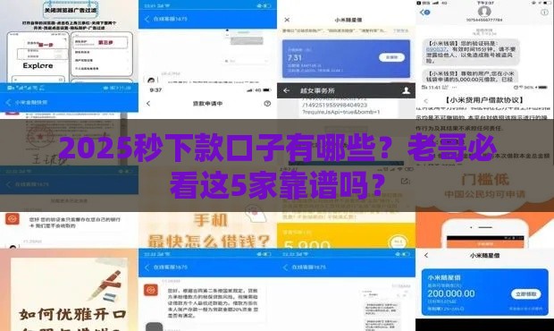 2025秒下款口子有哪些？老哥必看这5家靠谱吗？