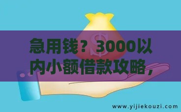 急用钱？3000以内小额借款攻略，低门槛快速到账！