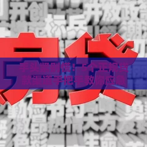 手头紧别慌！5个正规贷款渠道手把手教你应急