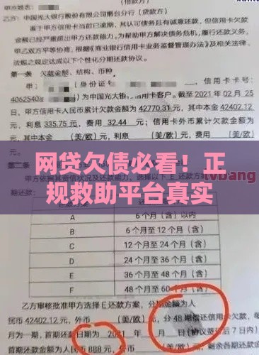 网贷欠债必看！正规救助平台真实经历分享，如何避免被坑