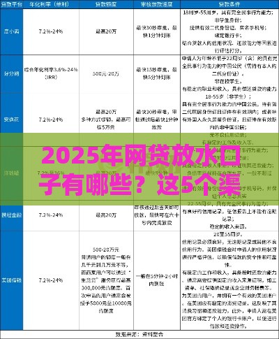 2025年网贷放水口子有哪些？这5个渠道审核松、下款快！