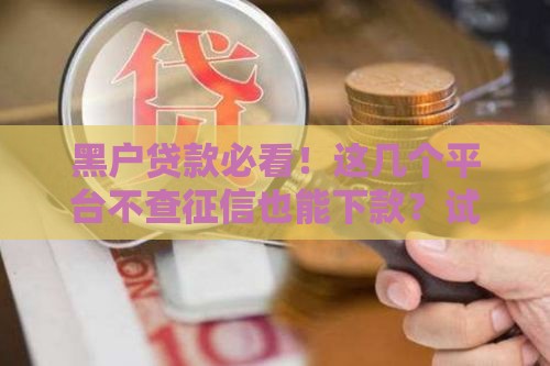 黑户贷款必看！这几个平台不查征信也能下款？试试这些方法更靠谱