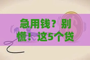 急用钱？别慌！这5个贷款平台容易借到钱 审批快、额度高