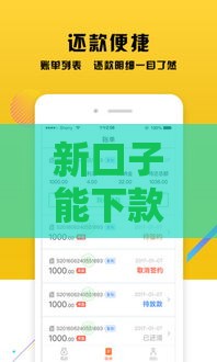 新口子能下款的有吗？这几家平台确实靠谱！