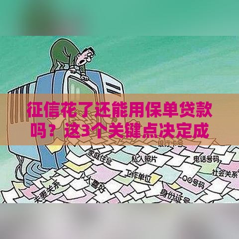 征信花了还能用保单贷款吗？这3个关键点决定成功率！