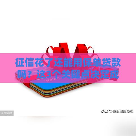 征信花了还能用保单贷款吗？这3个关键点决定成功率！