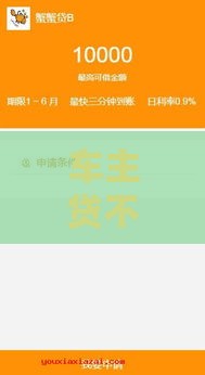 车主贷不看征信秒放款的口子大揭秘