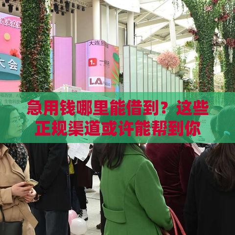 急用钱哪里能借到？这些正规渠道或许能帮到你