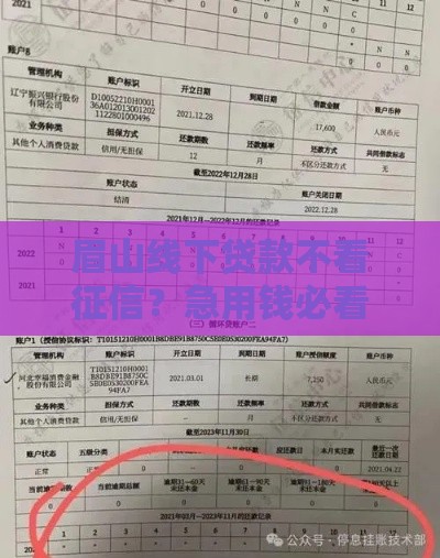 眉山线下贷款不看征信？急用钱必看的避坑指南