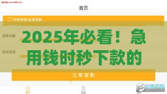 2025年必看！急用钱时秒下款的低门槛渠道盘点