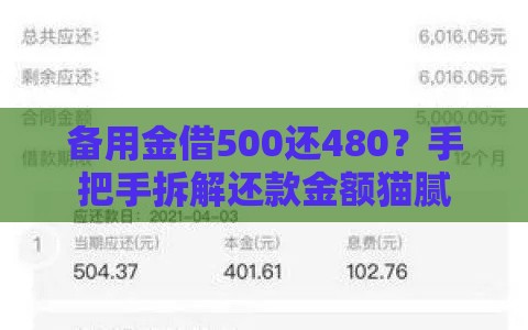 备用金借500还480？手把手拆解还款金额猫腻