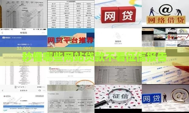 秒懂哪些网站贷款不看征信报告