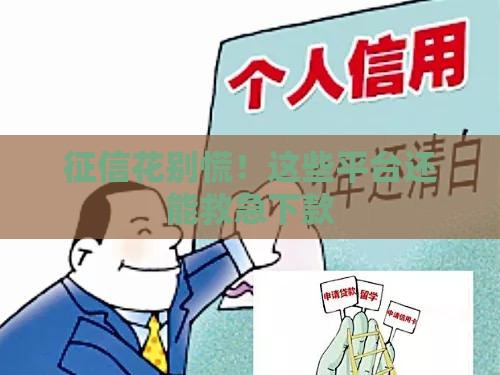 征信花别慌！这些平台还能救急下款