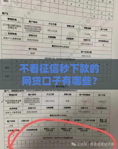 不看征信秒下款的网贷口子有哪些？