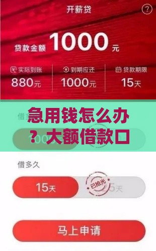 急用钱怎么办？大额借款口子V精选推荐，快速下款超靠谱！