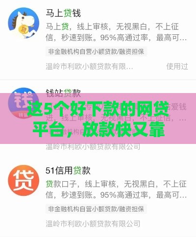 这5个好下款的网贷平台，放款快又靠谱