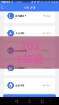 2025年啥口子能下款？老哥必看！这5类平台下款稳了（干货总结）