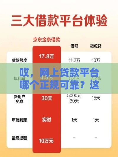 哎，网上贷款平台哪个正规可靠？这份避坑指南请收好！