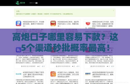 高炮口子哪里容易下款？这5个渠道秒批概率最高！