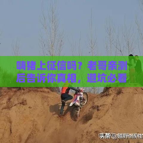 嗨猪上征信吗？老哥亲测后告诉你真相，避坑必看！