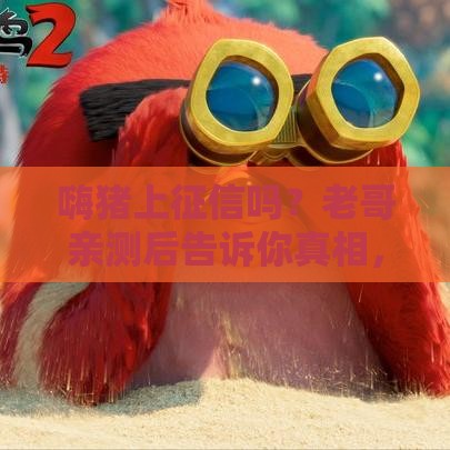 嗨猪上征信吗？老哥亲测后告诉你真相，避坑必看！