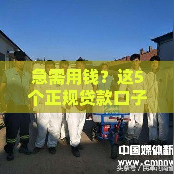 急需用钱？这5个正规贷款口子靠谱吗？实测解析！