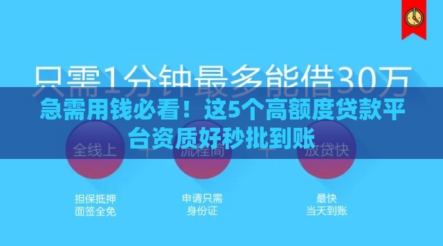 急需用钱必看！这5个高额度贷款平台资质好秒批到账