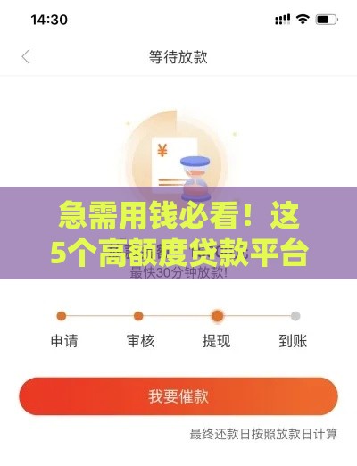 急需用钱必看！这5个高额度贷款平台资质好秒批到账