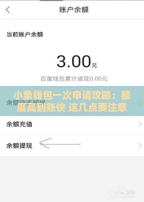 小象钱包一次申请攻略：额度高到账快 这几点要注意！