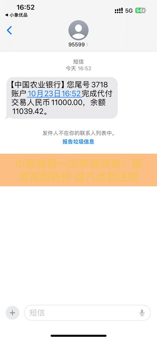 小象钱包一次申请攻略：额度高到账快 这几点要注意！