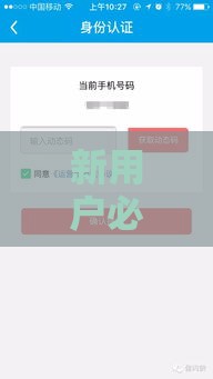 新用户必下款？别急！这口子靠谱吗？深度扒一扒真相