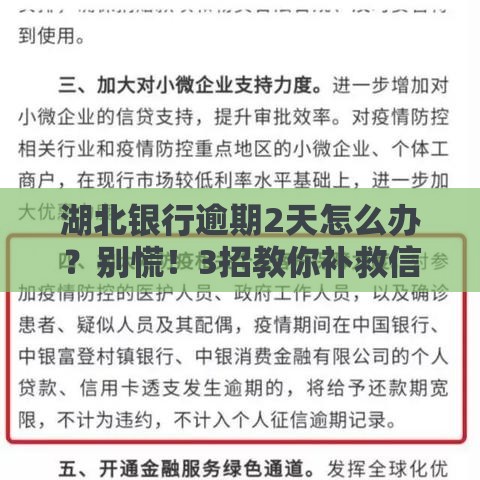 湖北银行逾期2天怎么办？别慌！3招教你补救信用记录