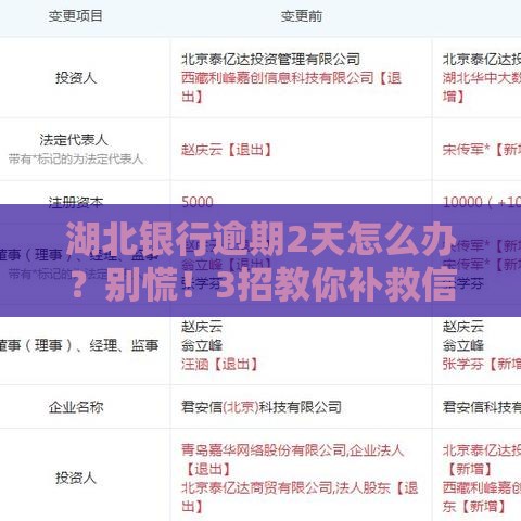 湖北银行逾期2天怎么办？别慌！3招教你补救信用记录