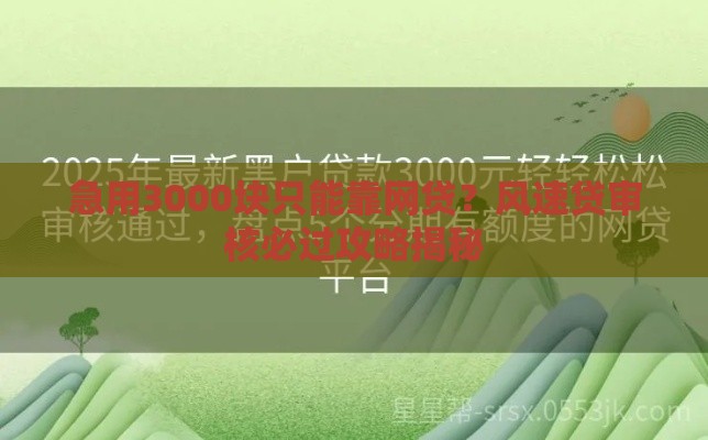 急用3000块只能靠网贷？风速贷审核必过攻略揭秘