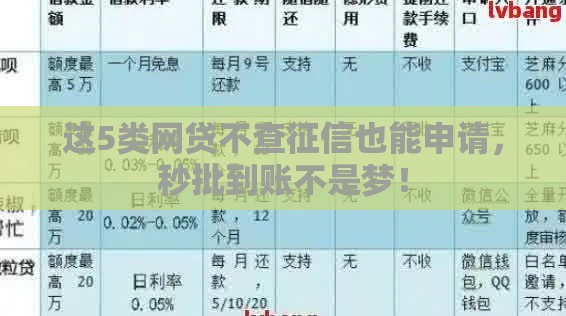 这5类网贷不查征信也能申请，秒批到账不是梦！