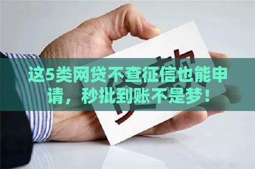 这5类网贷不查征信也能申请，秒批到账不是梦！