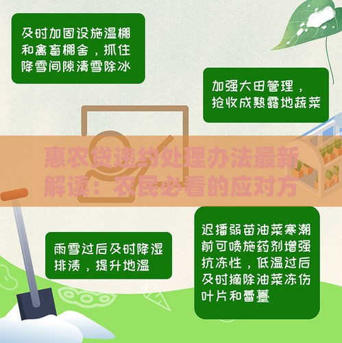 惠农贷违约处理办法最新解读：农民必看的应对方案！