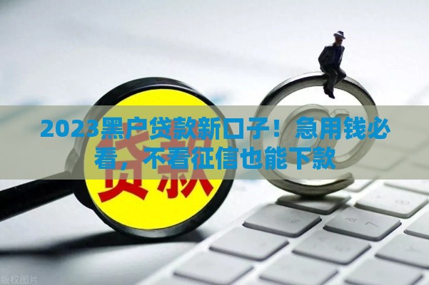 2023黑户贷款新口子！急用钱必看，不看征信也能下款