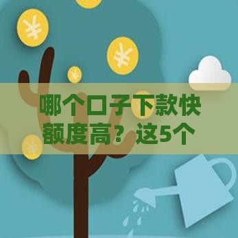哪个口子下款快额度高？这5个靠谱平台值得一试！