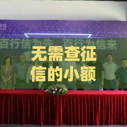 无需查征信的小额贷款攻略，快速到账不踩坑