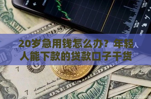 20岁急用钱怎么办？年轻人能下款的贷款口子干货攻略