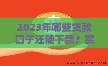 2023年哪些贷款口子还能下款？实测推荐这5个靠谱平台