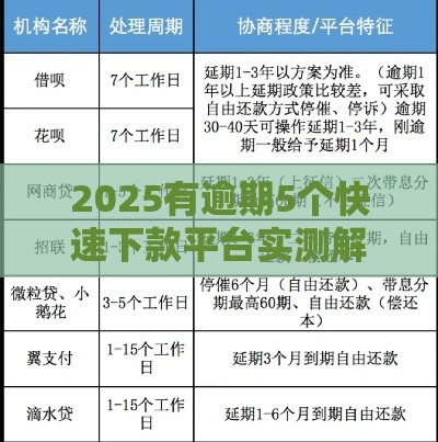 2025有逾期5个快速下款平台实测解析